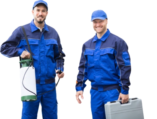 best pest inspection services in perth